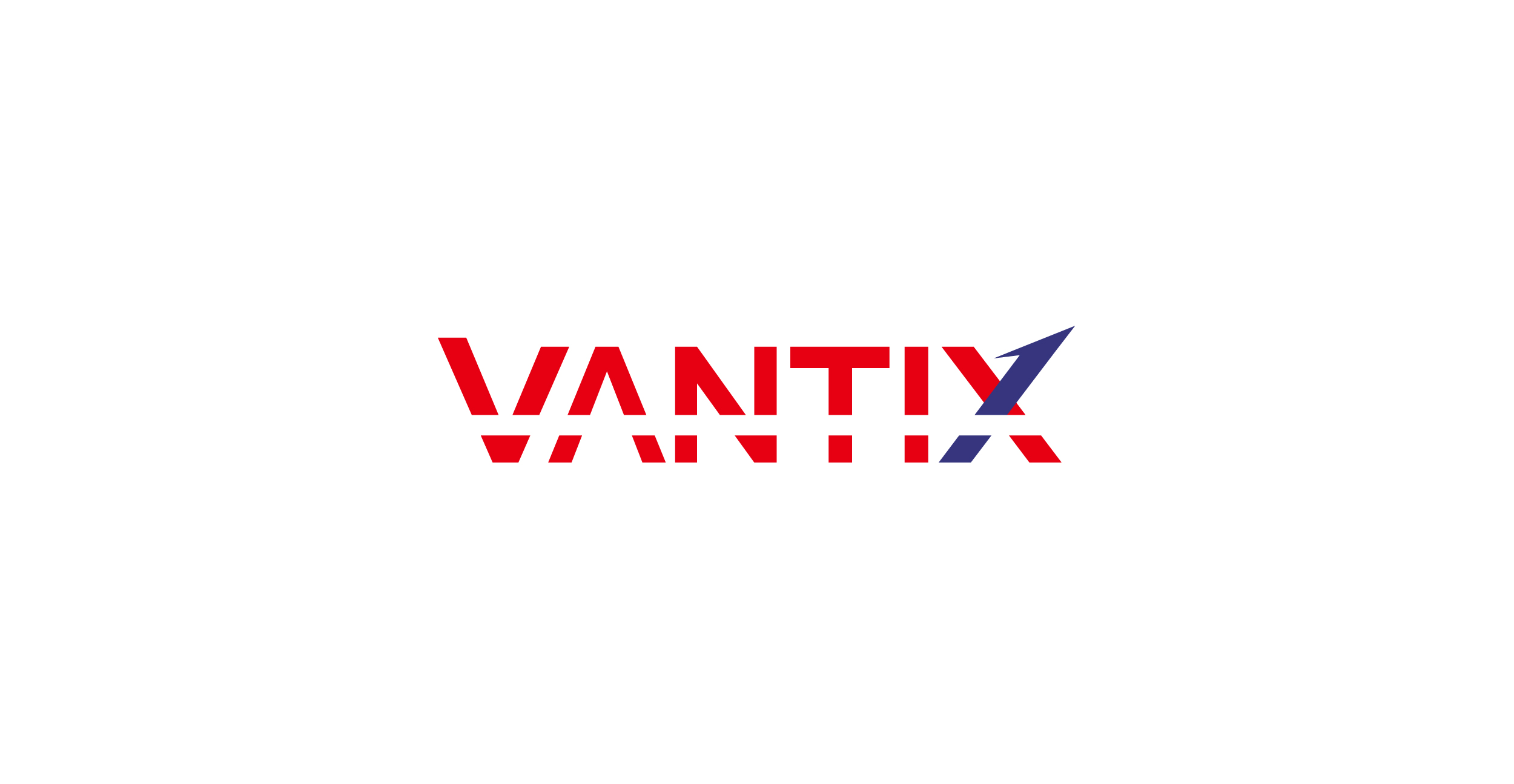 VANTIX | ヴァンティクス合同会社