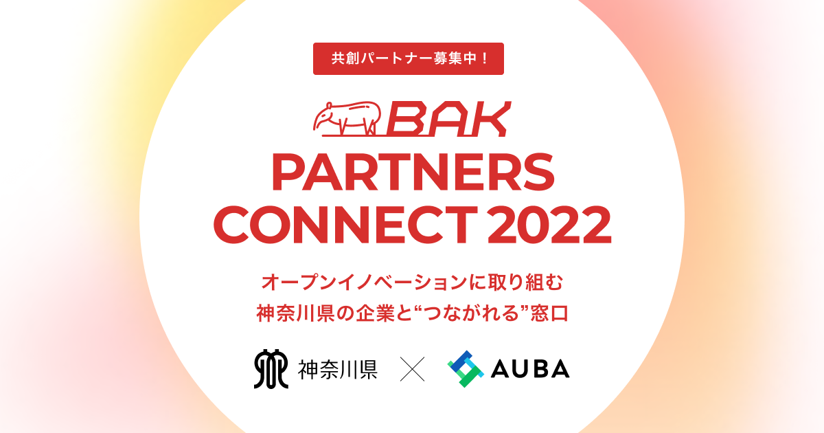 PARTNERS CONNECT 2022