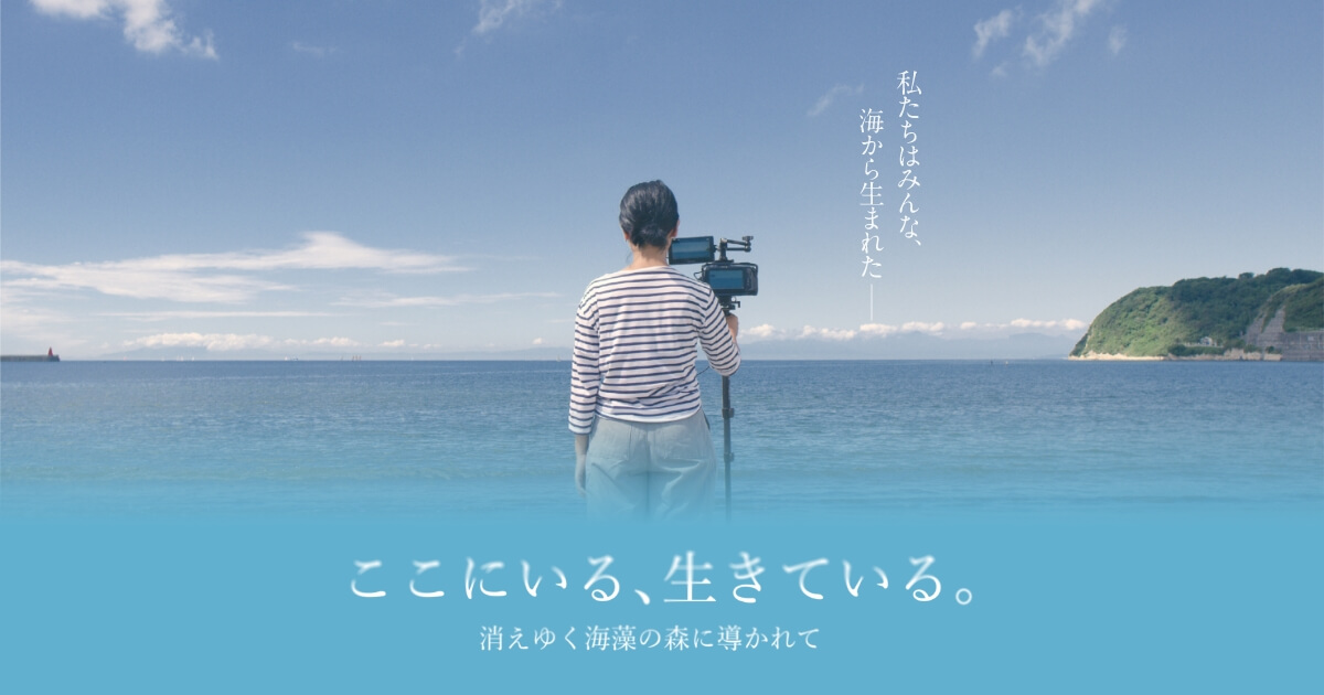 映画「ここにいる、生きている。〜消えゆく海藻の森に導かれて〜」公式 