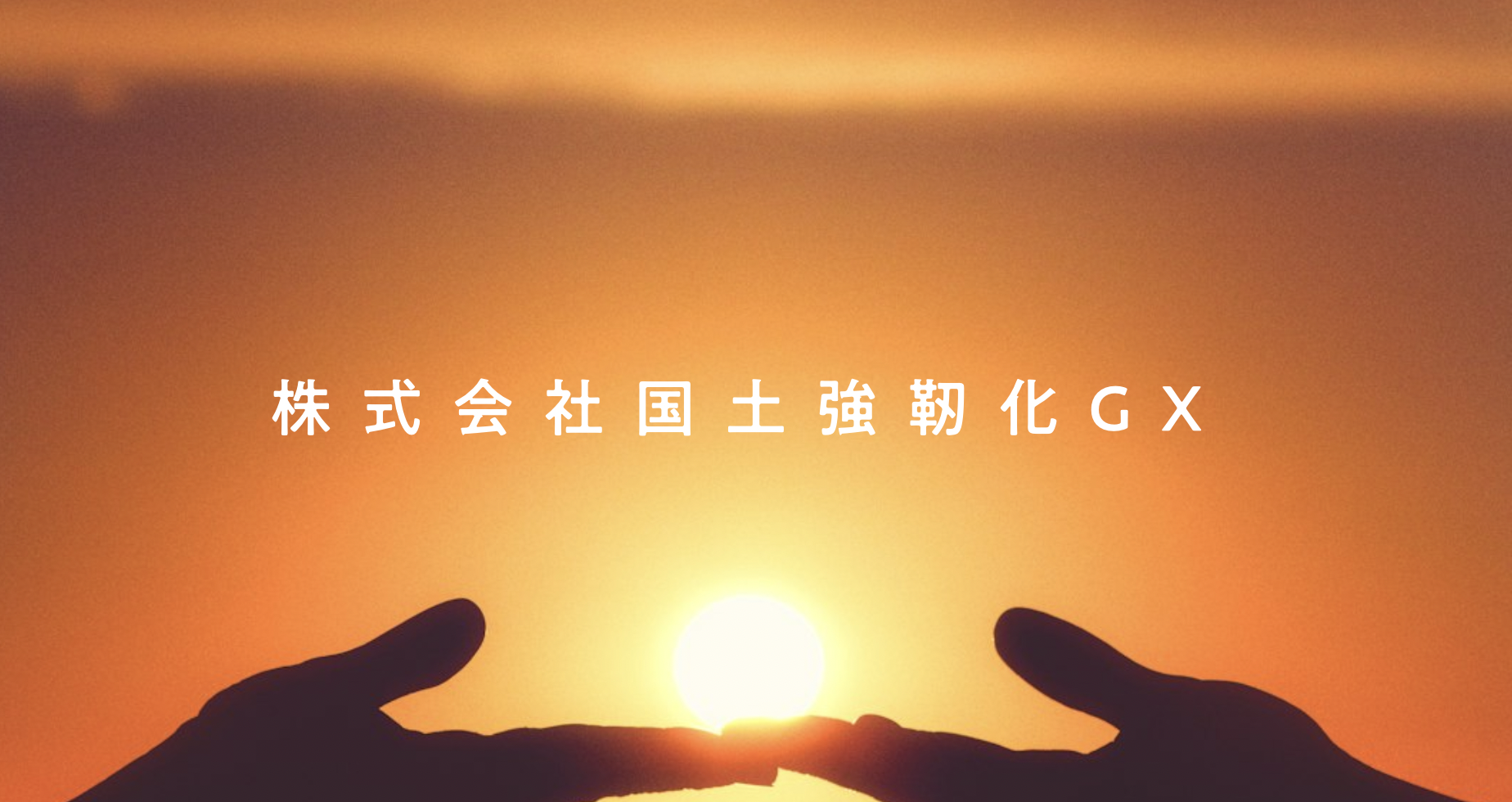 国土強靭化GX | NRGX