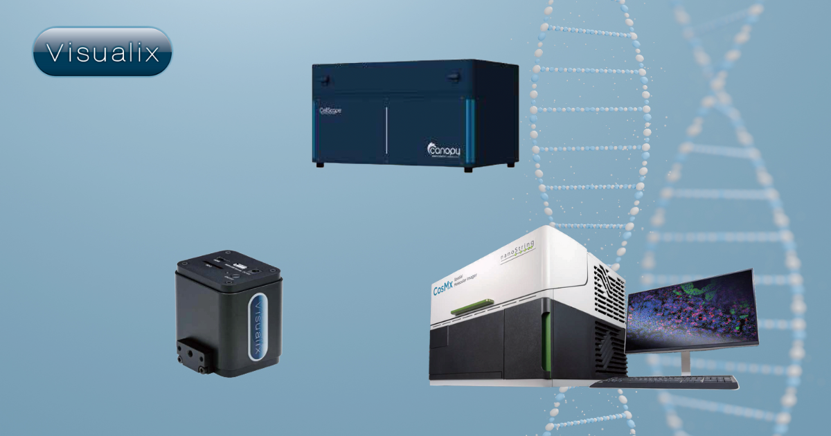 株式会社Visualix