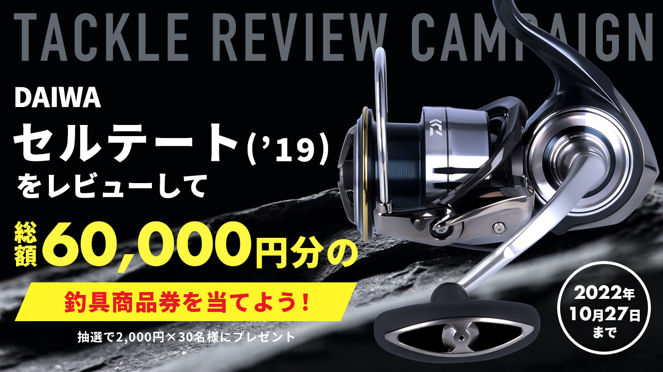 ダイワ 19セルテート(CP) LT5000D-CXH 奥深く ダイワ 19セルテート(CP) LT5000D-CXH 奥深く