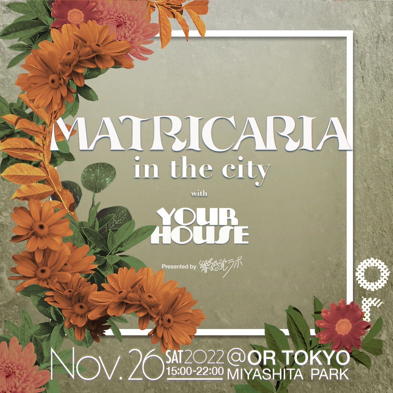MATRICARIA in the city