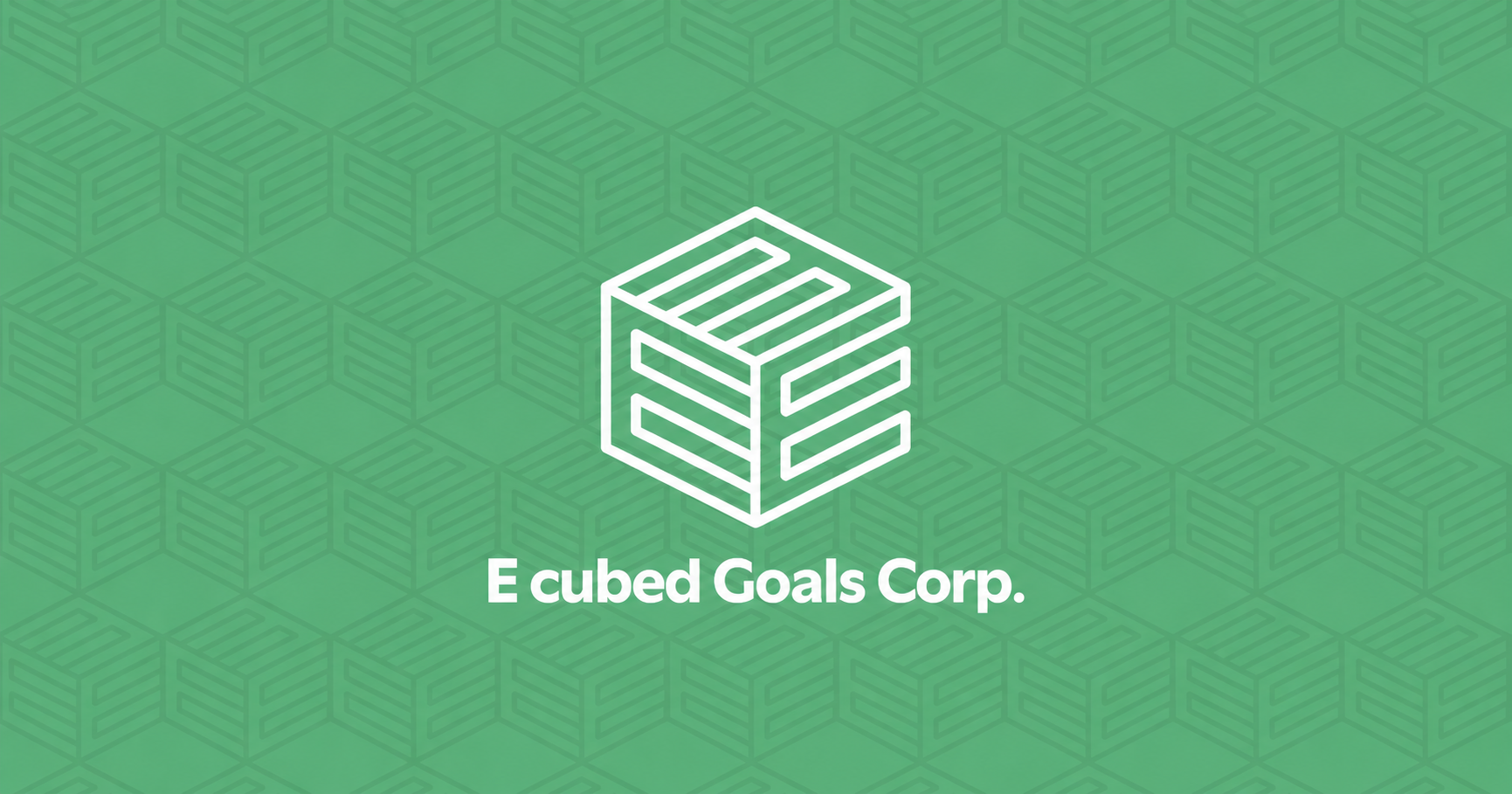 E Cubed Goals.