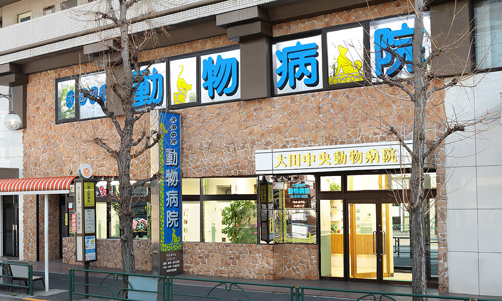 大田中央動物病院の外観