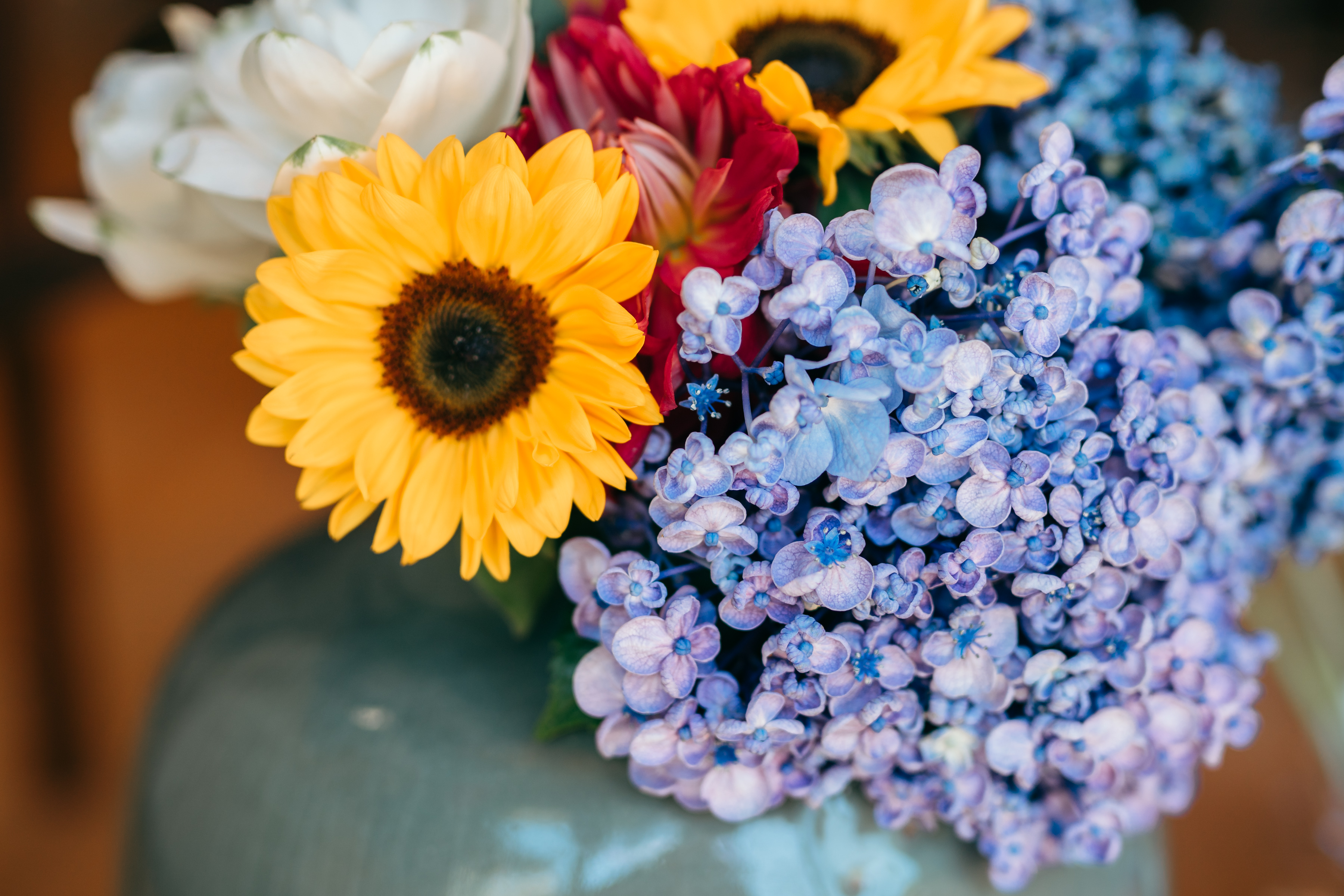 斉藤優也ページ 今回は、合同会社クアッガ 代表の斉藤優也さんにインタビューです