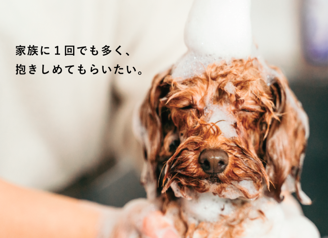 商品一覧 | ブランド別 商品一覧 | ブランド別