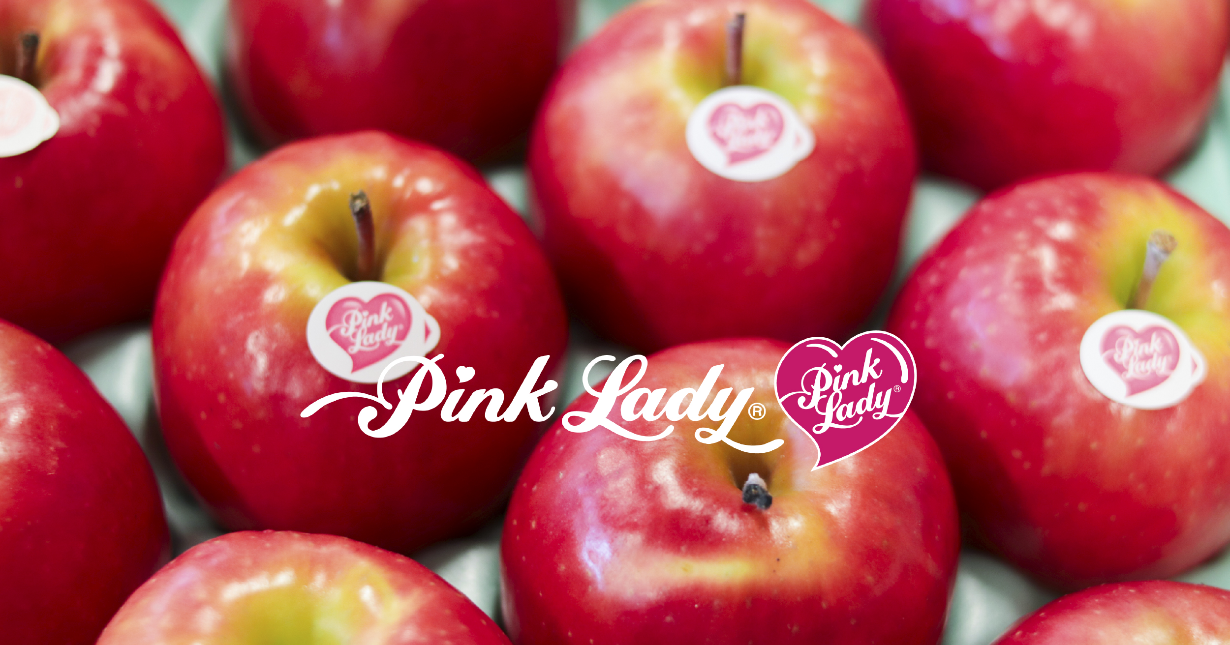 ピンクレディー®︎ | 長野県松川町 マルカメ果樹園