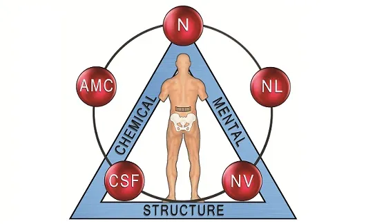 安福鍼灸治療室 | キネシオロジー大阪 | NEWS | イーマ・サウンド