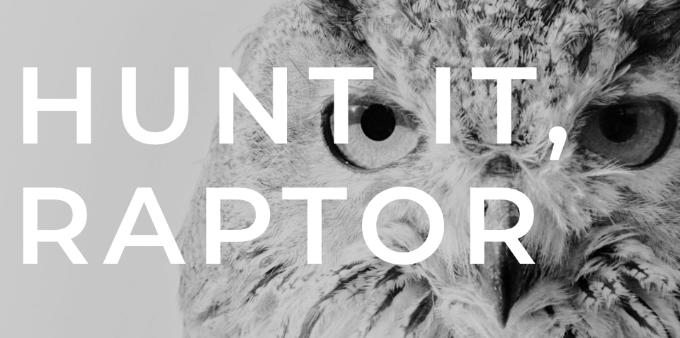 Raptor Inc.