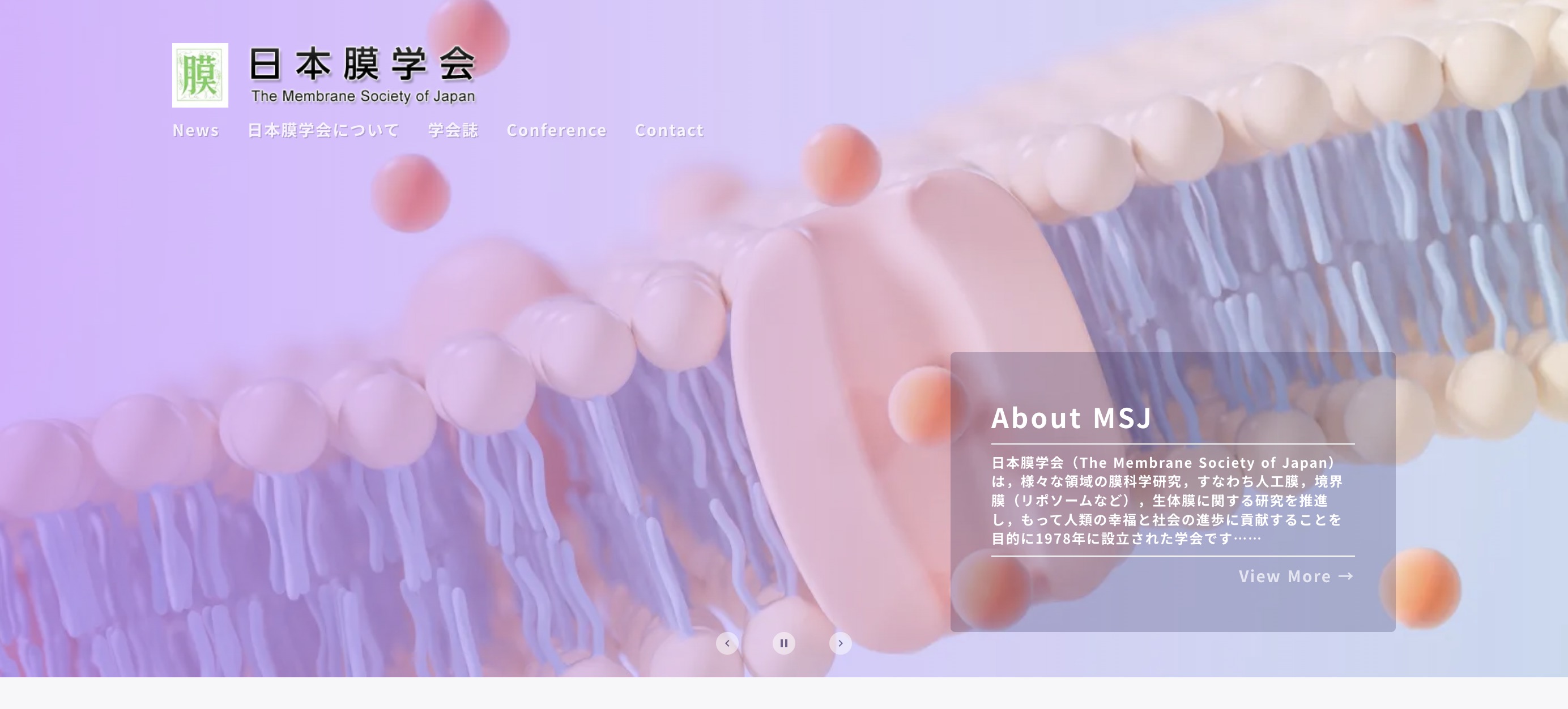  the membrane society of japan