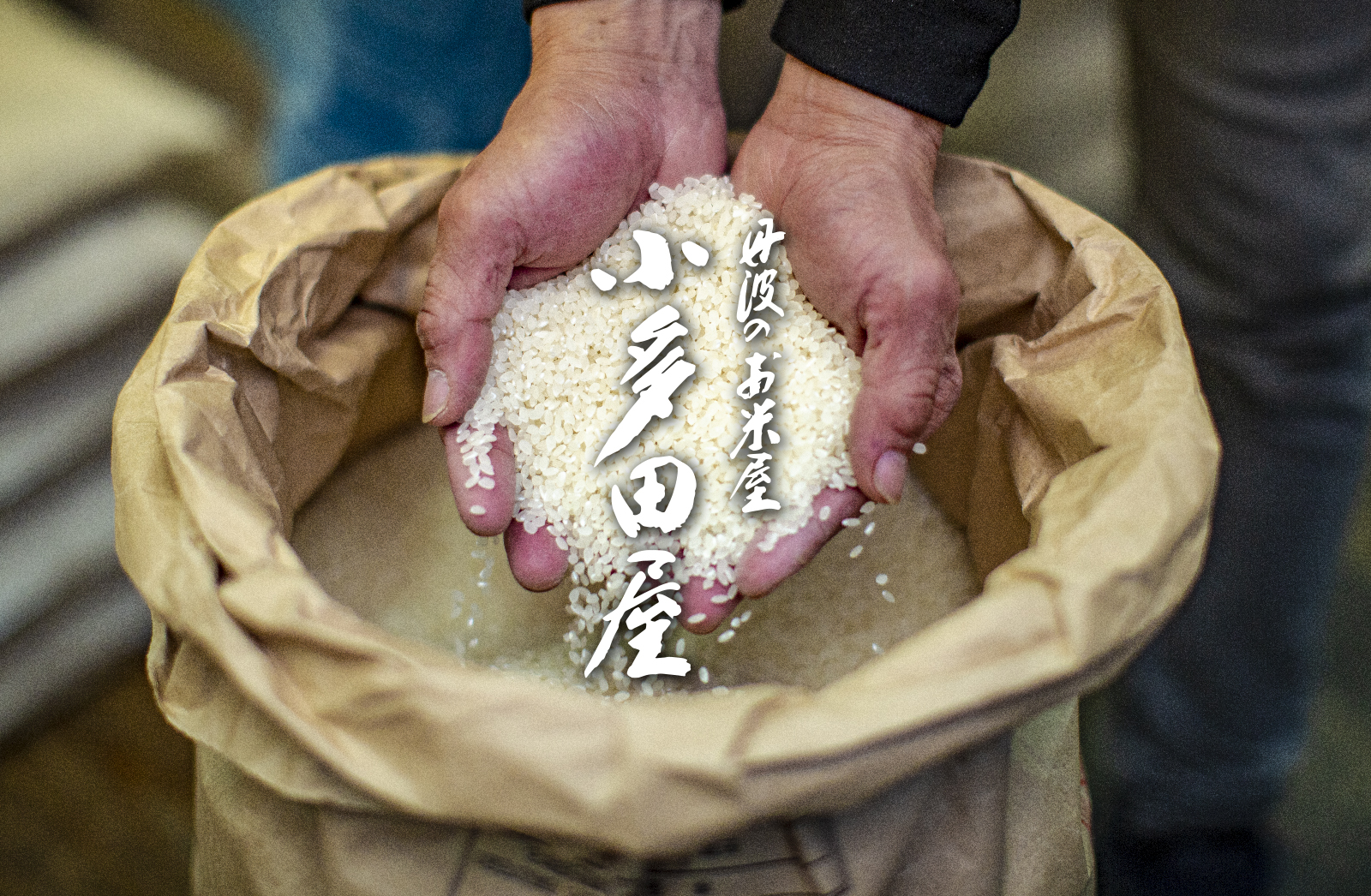 令和6年新米30k！丹波篠山産こしひかり！引取限定！