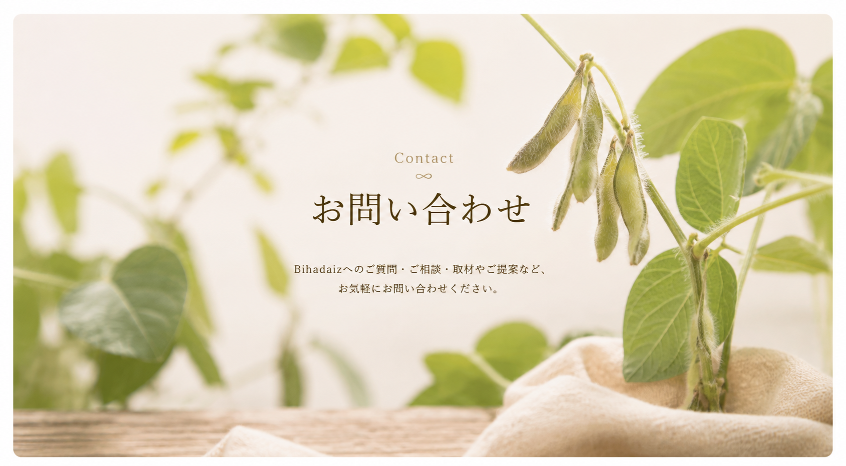 Bihadaiz®_お問い合わせ