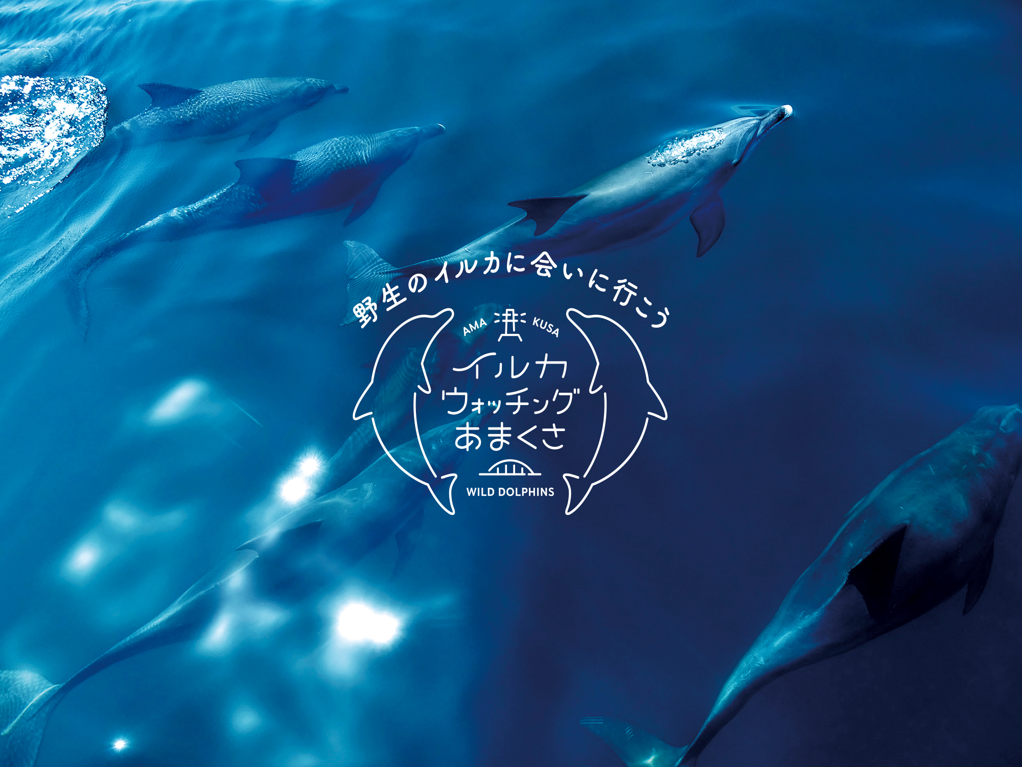 9e42b493-0a36-4faf-99f3-