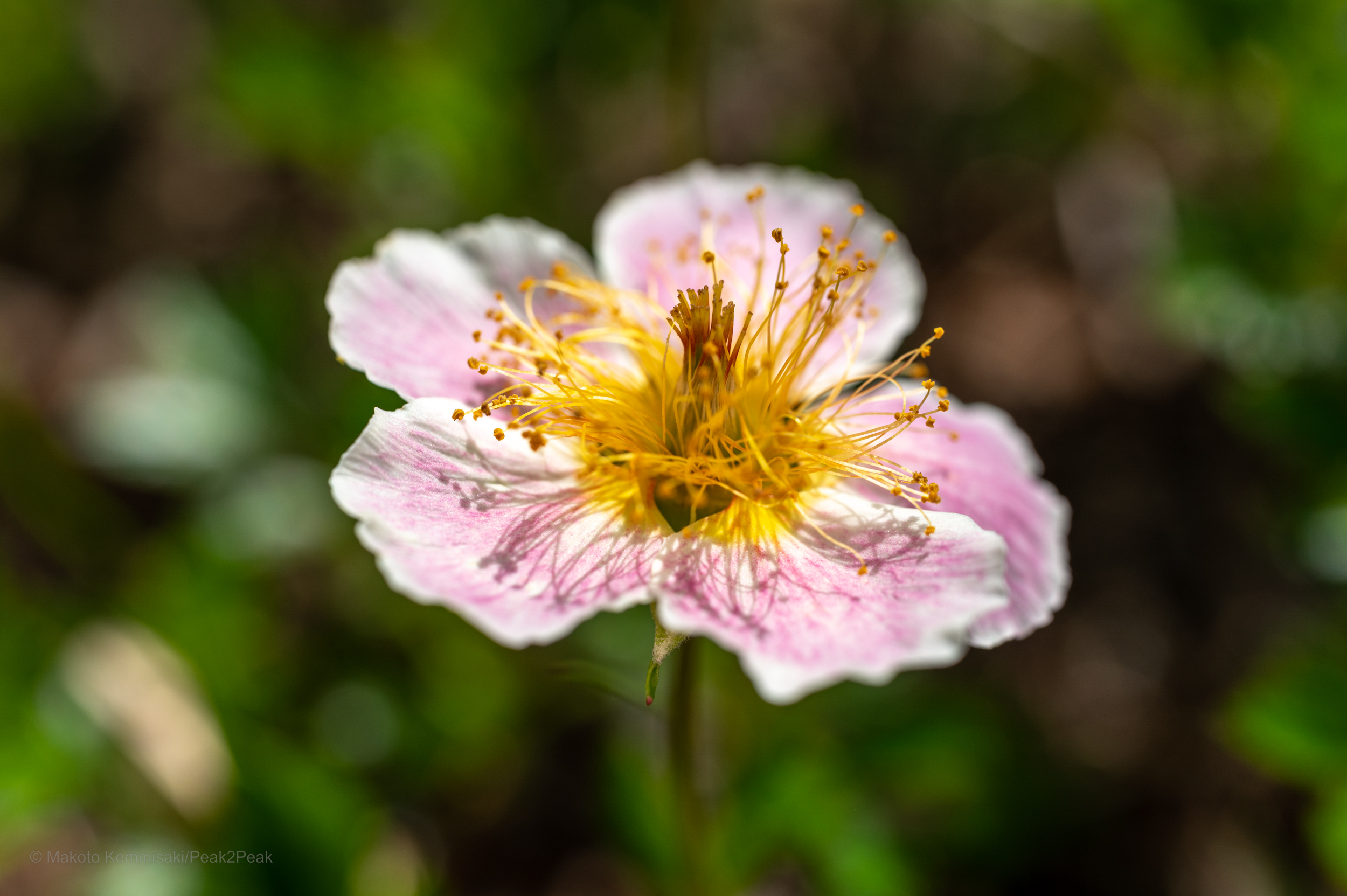 a233f4de-ef1f-4a04-b2a7-