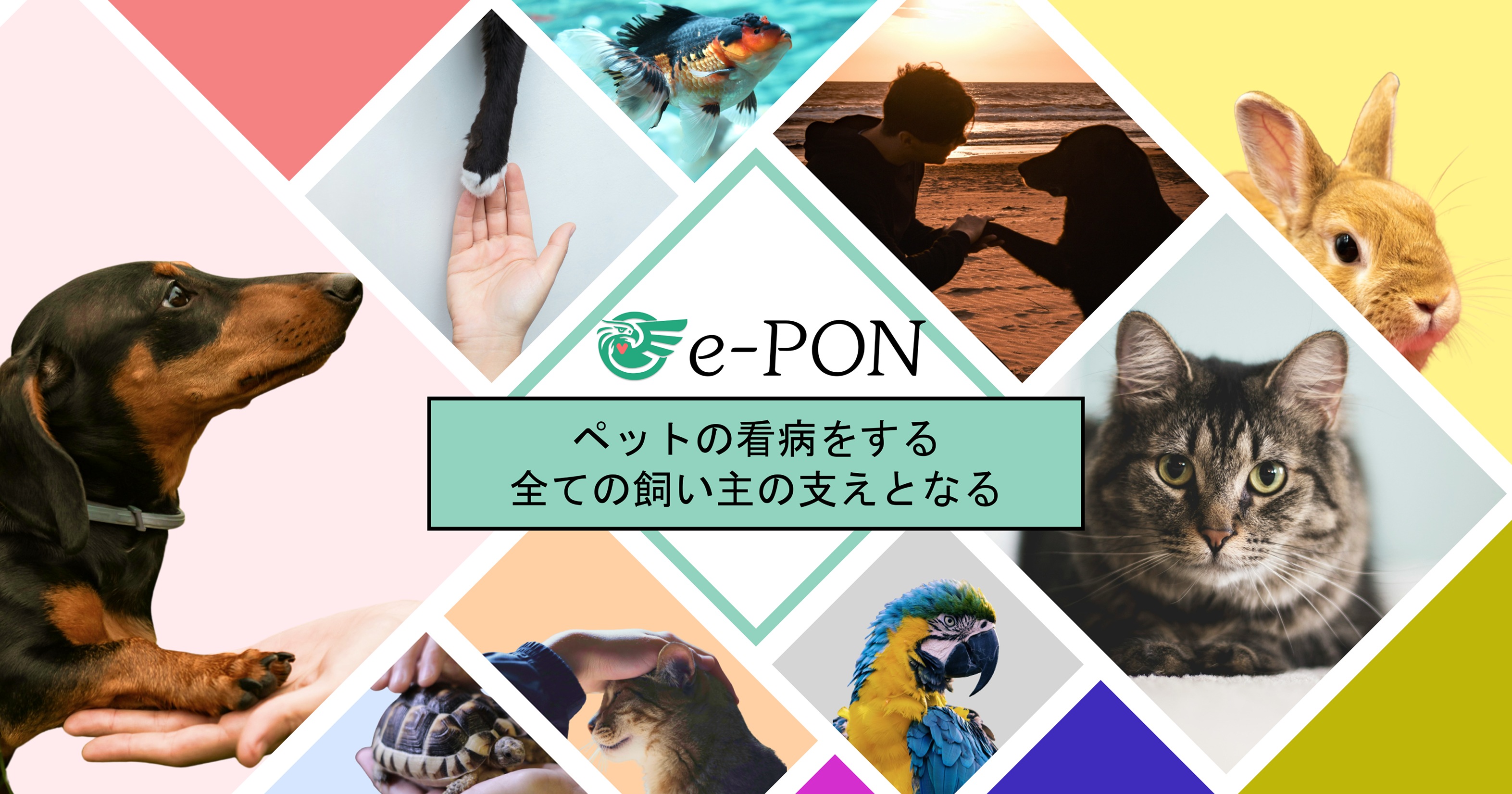 e-PON ｜ペットと飼い主の生涯に道しるべを