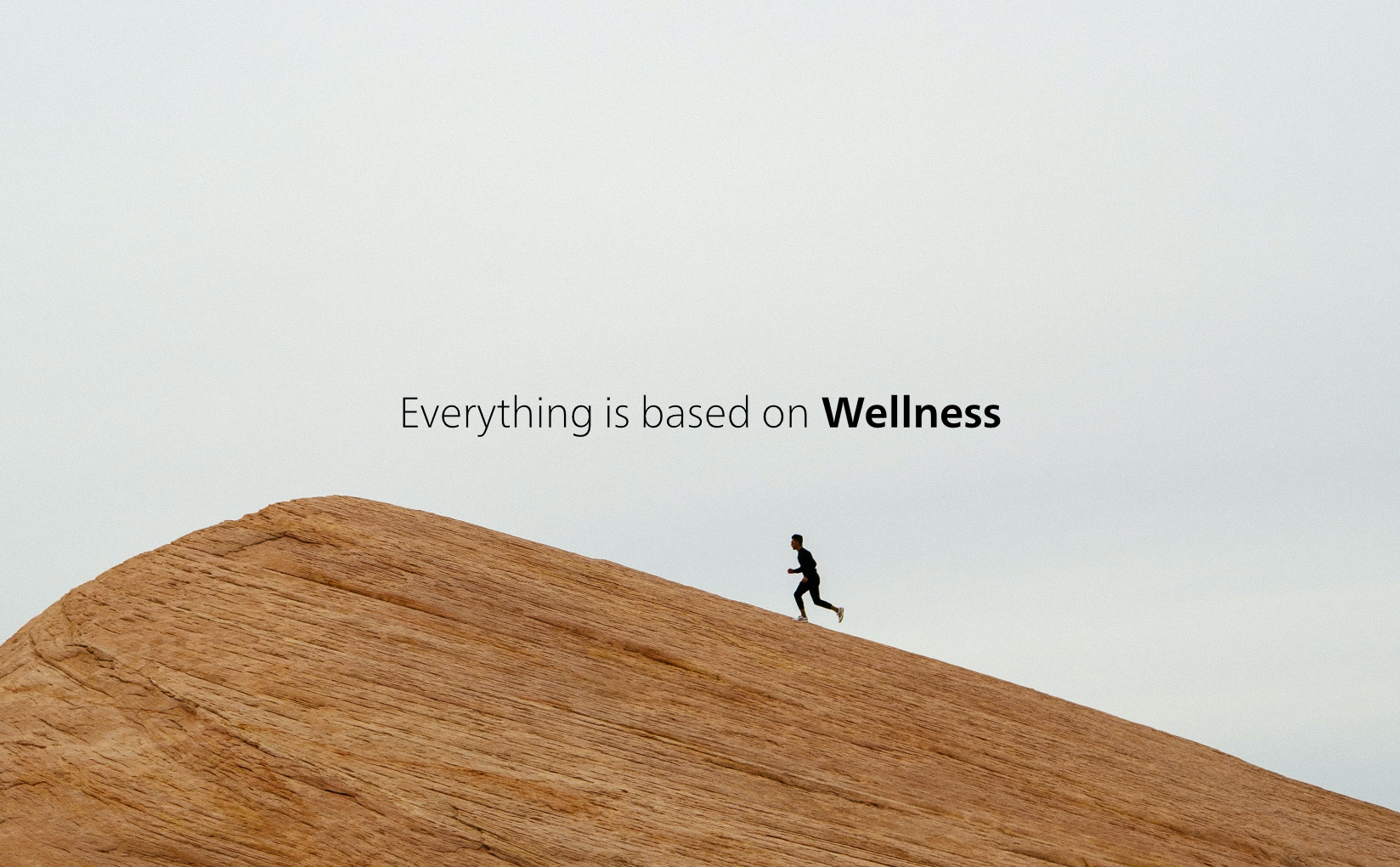 Wellness