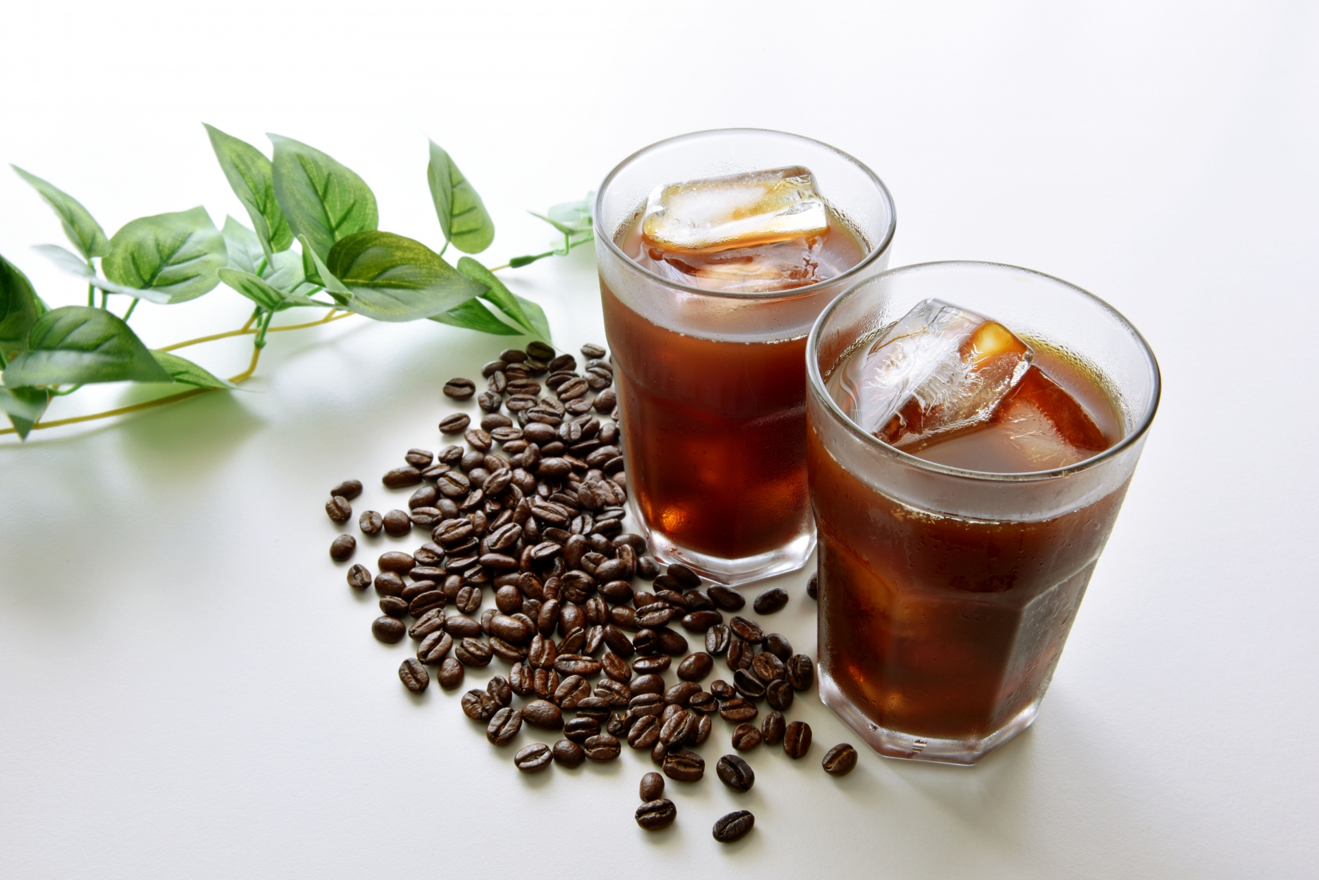 LP　浅煎りポリフェノールコーヒー