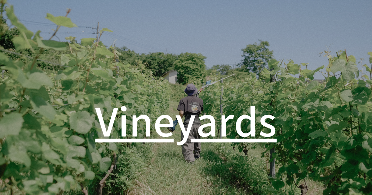 Vineyards