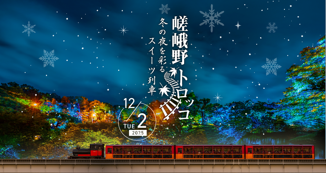 タイムセール！嵯峨野トロッコランチボックス 天下一品祭り どんぶり ビッくらポン タイムセール！嵯峨野トロッコランチボックス 天下一品祭り どんぶり