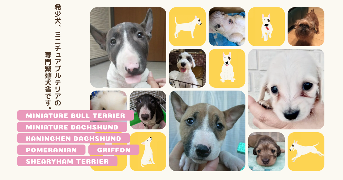 b9c7b5f1-5947-42e5-b494-