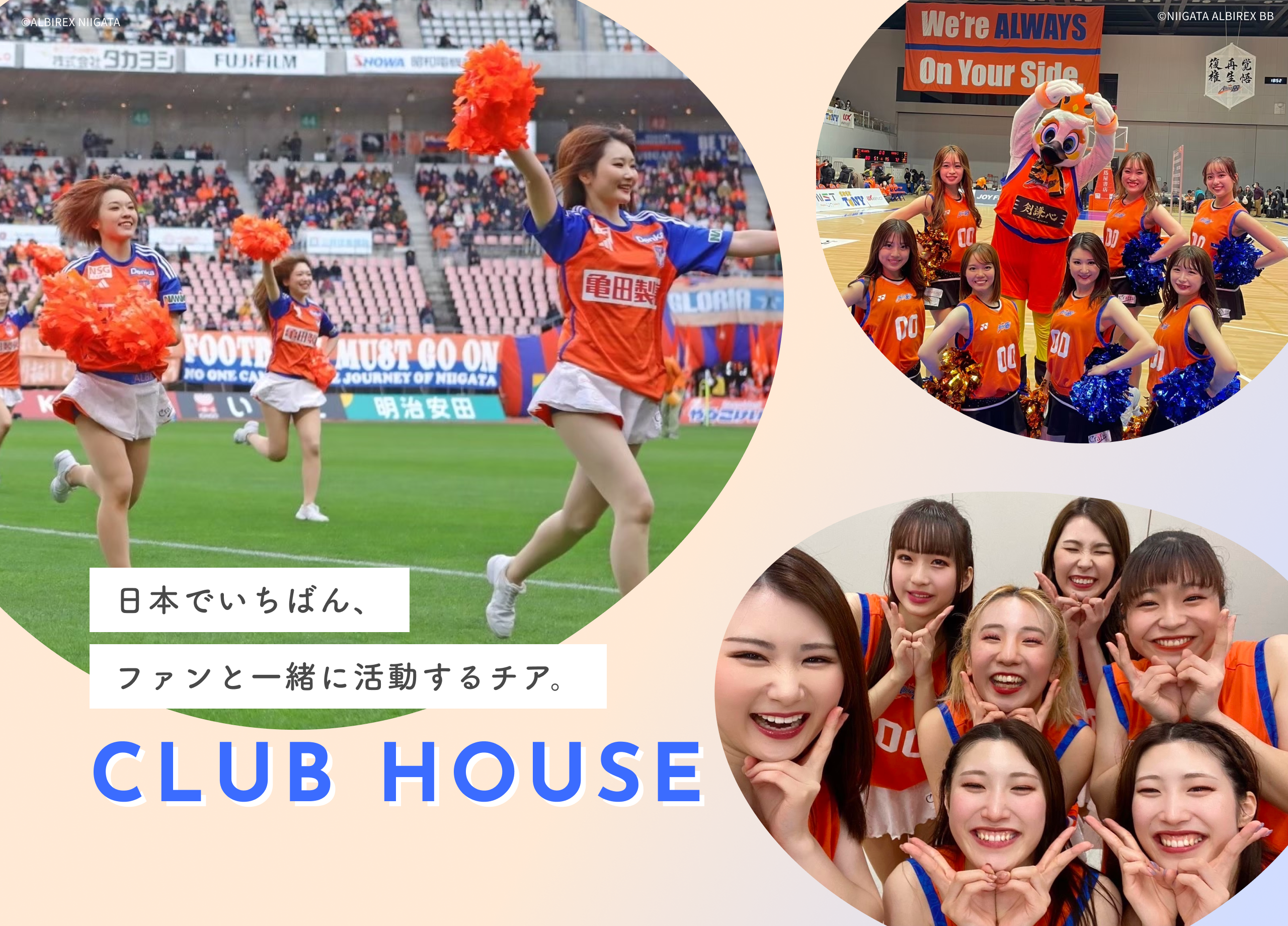 CLUB HOUSE｜アルビレックスチアリーダーズ コミュニティサロン