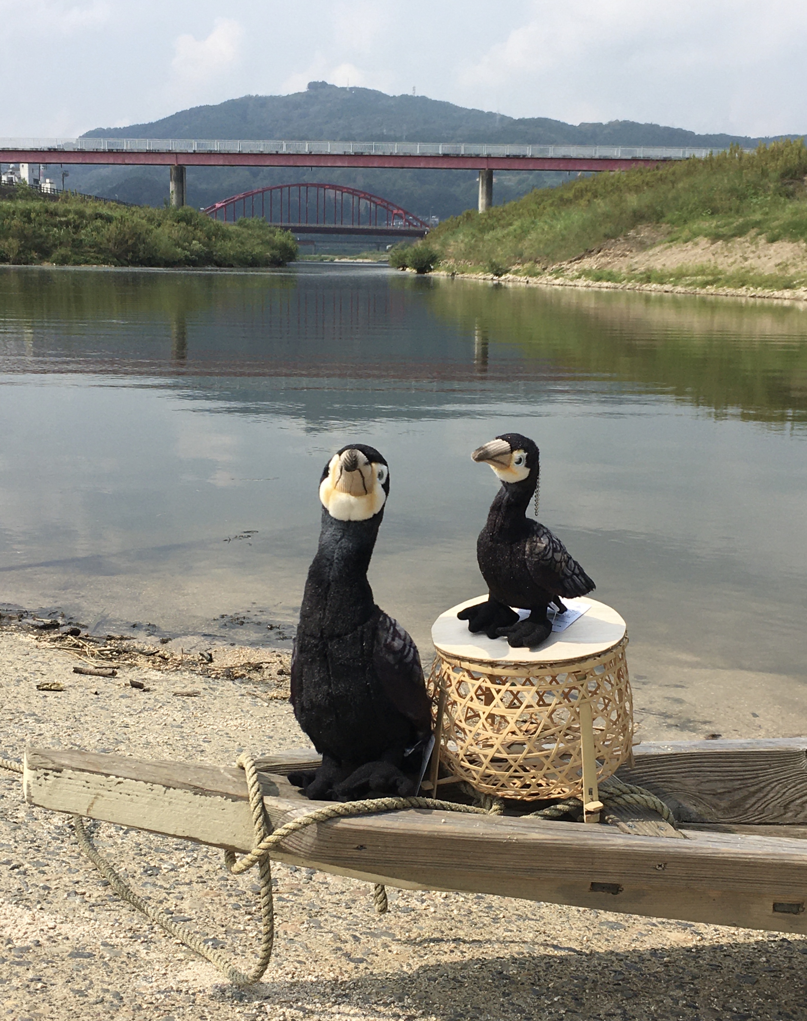 TSUKASA INTERNATIONAL CO., LIMITED