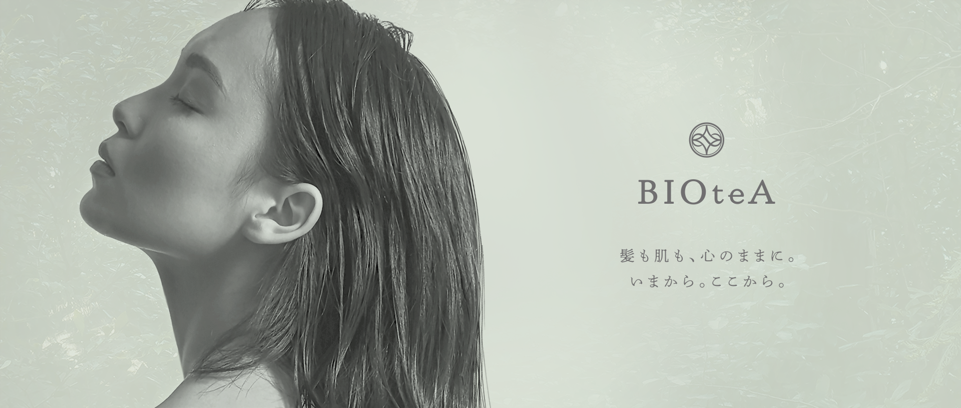 【BIOteA】 ビオテア　ローション&オイル SET BIOteA商品一覧