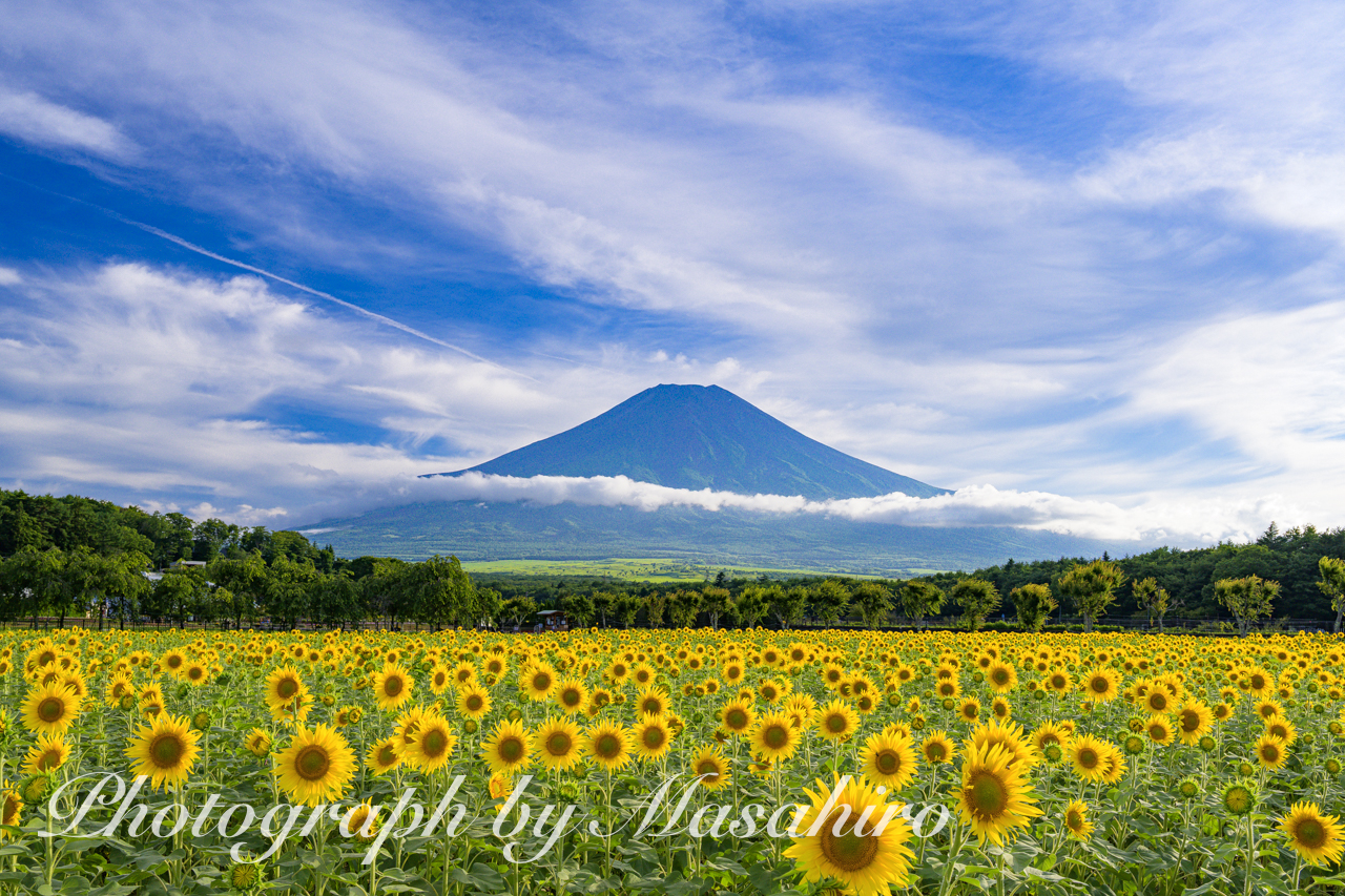 MT.FUJI GALLERY 〜富士山、四季の光彩を求めて〜