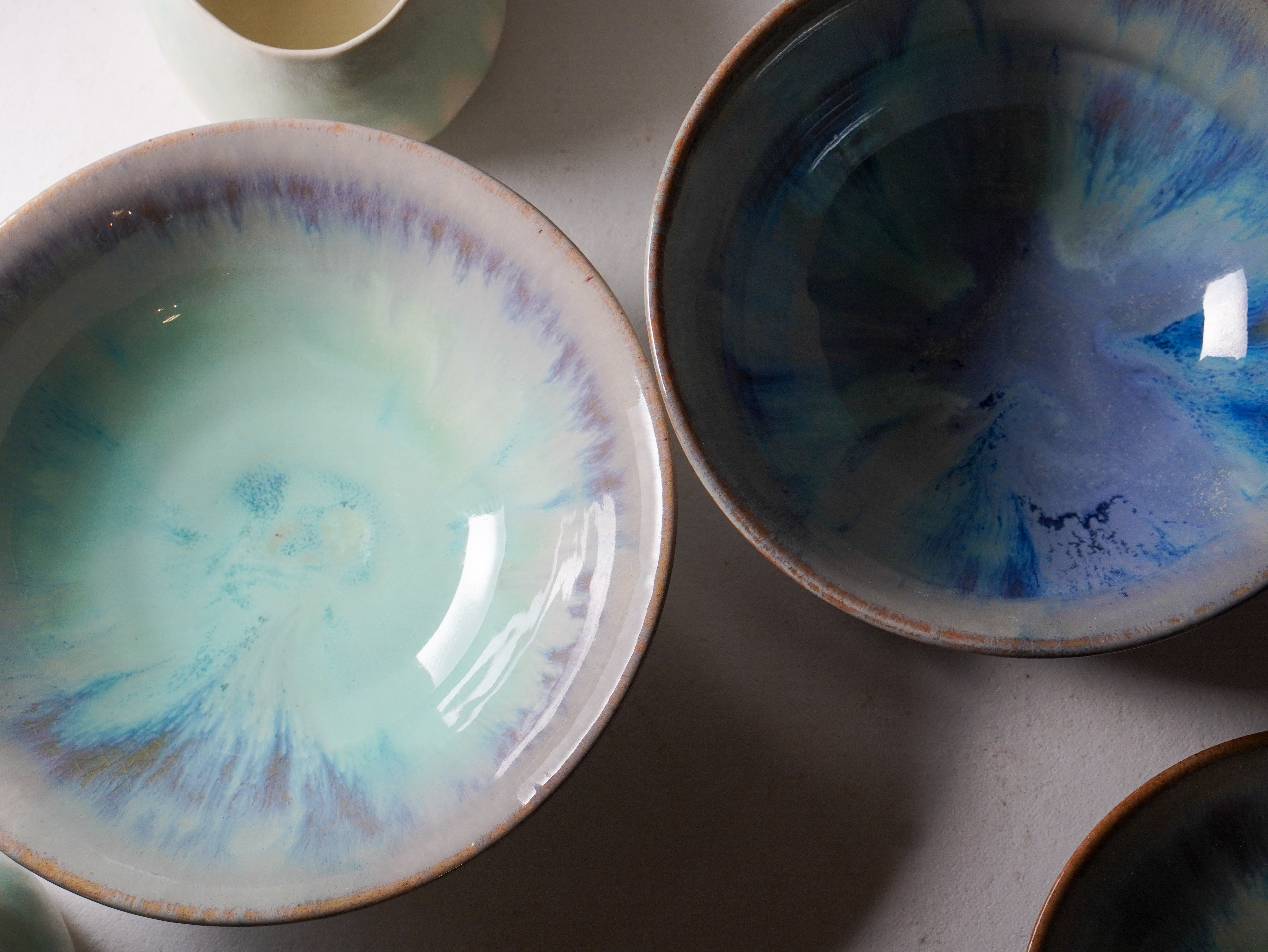 お化け亀甲竜鉢