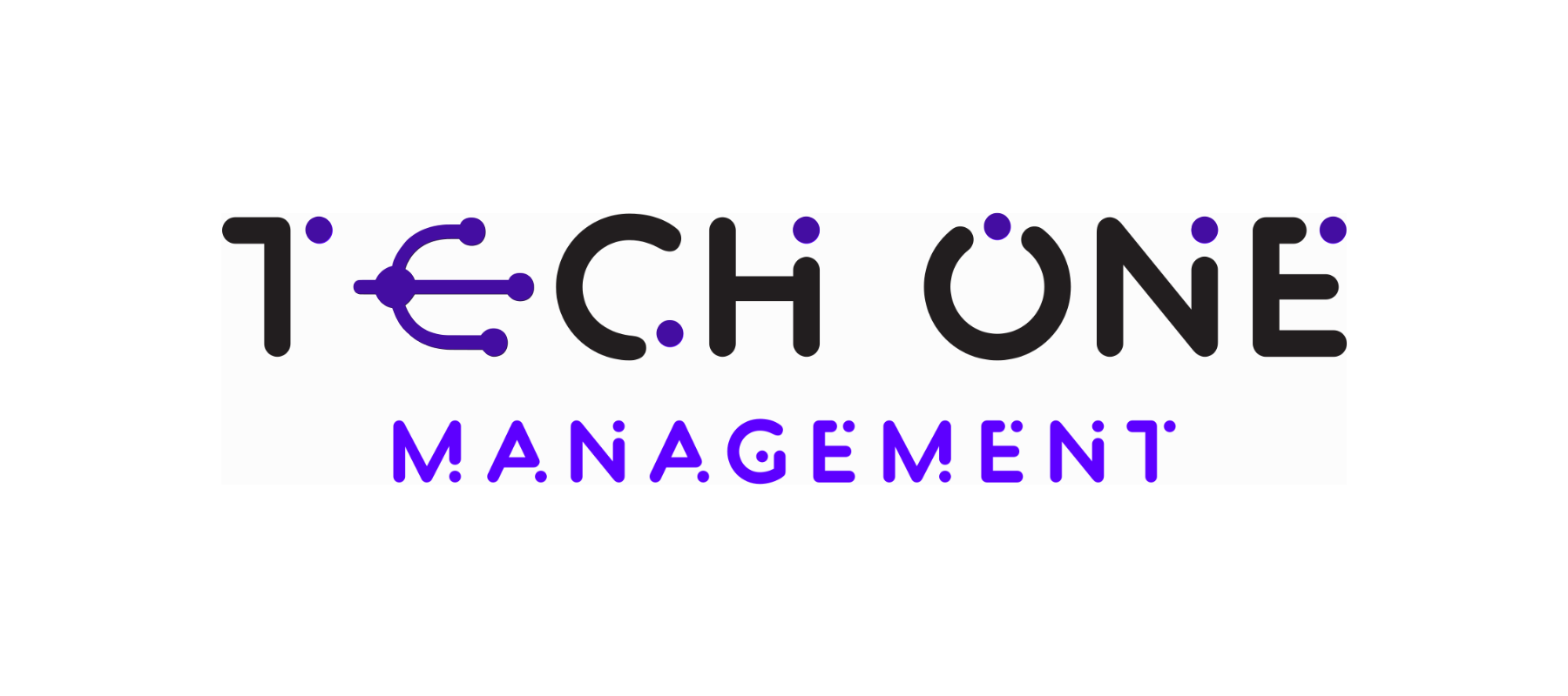 TECH ONE MANAGEMENT,INC. - CAREER