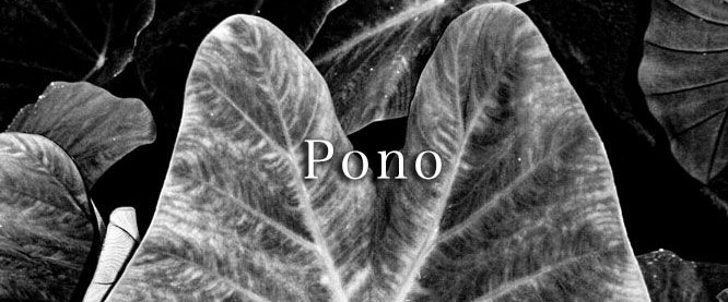 PIKO 公式ブランドサイト|Home