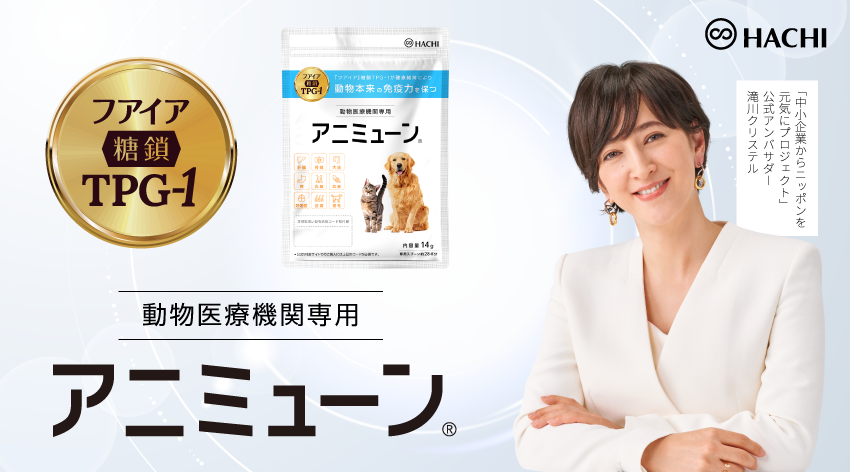 HACHI 採用情報