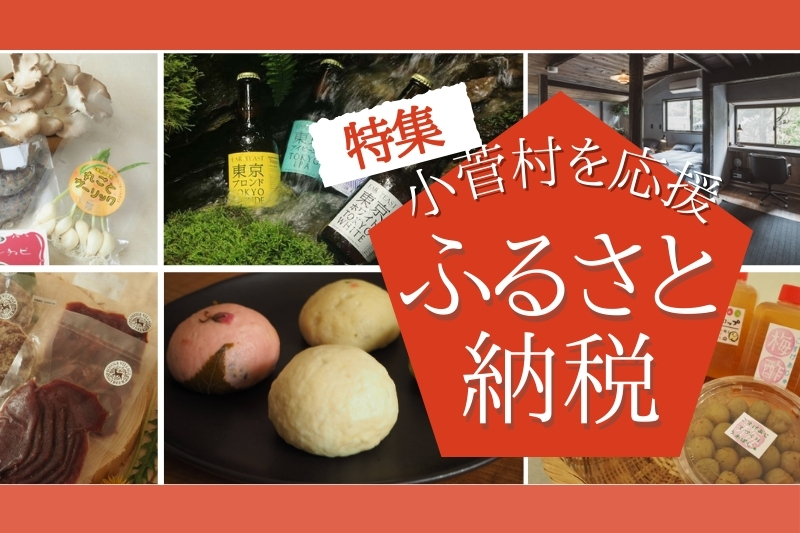 小菅村ふるさと納税特設サイトの外観