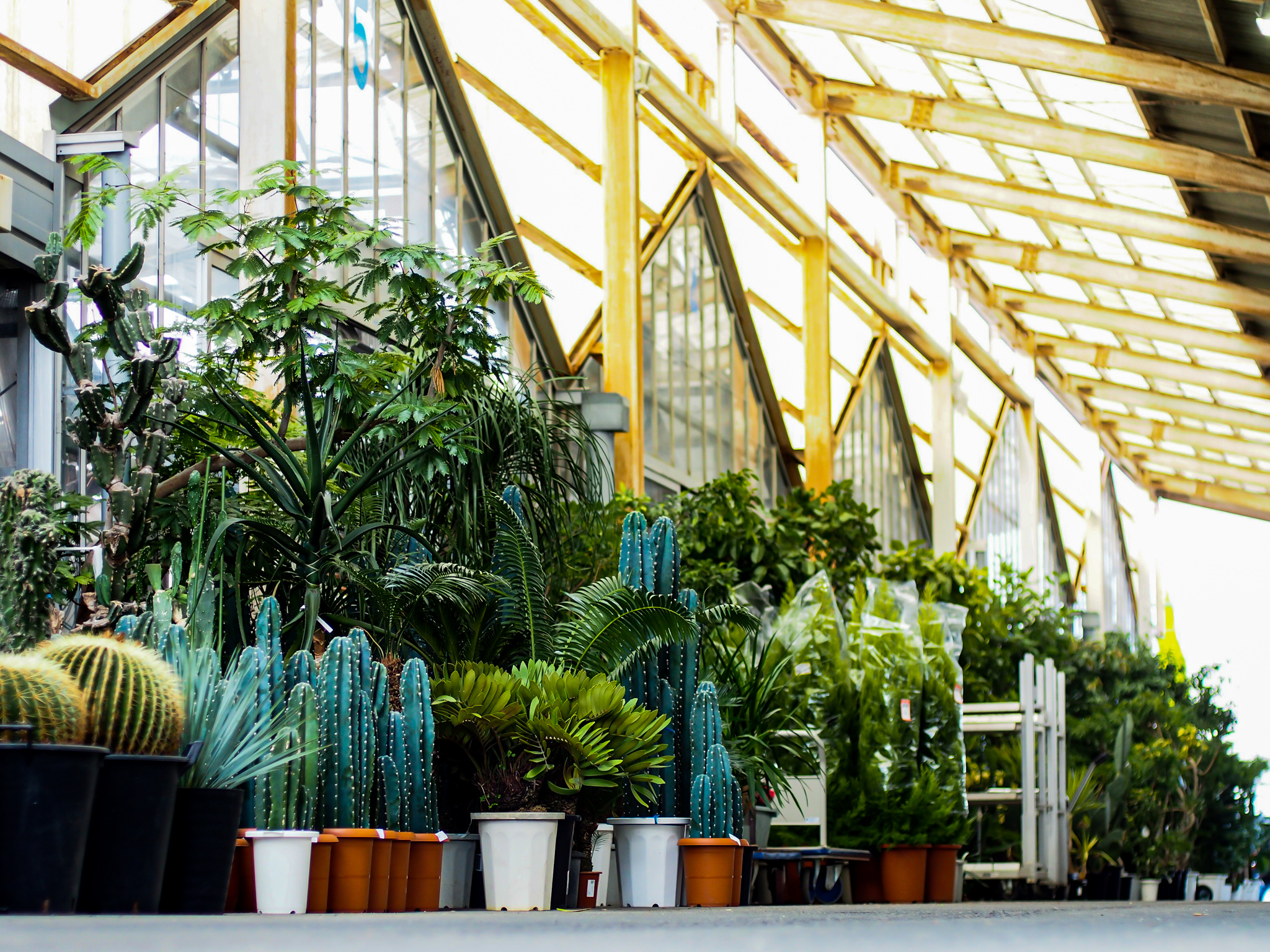 Takashimaya Shokubutsuen 高島屋植物園