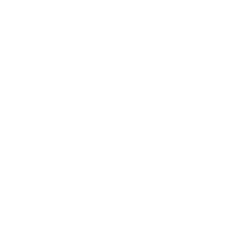 ranryu Secure Solution