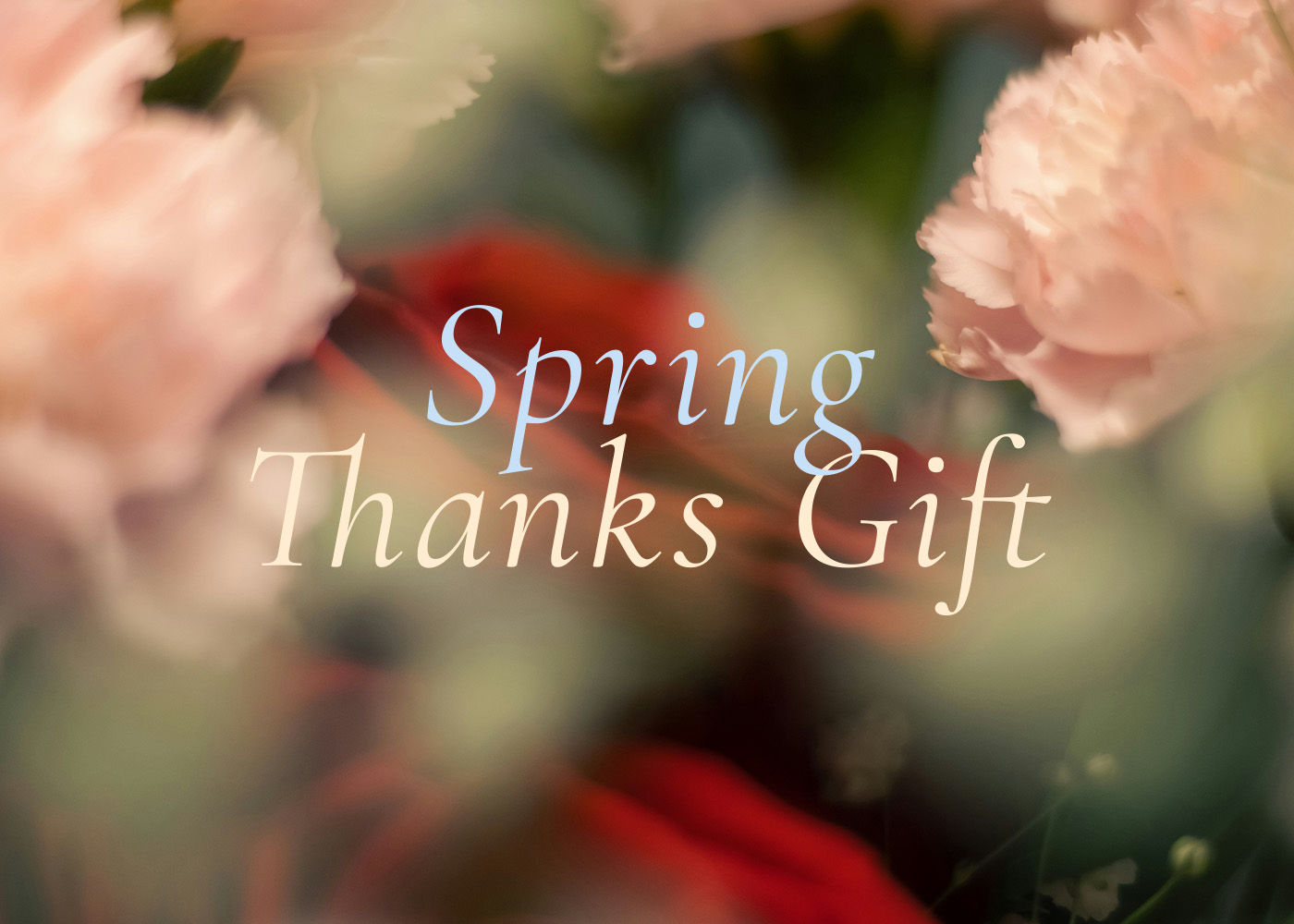 Spring Thanks Gift｜GILT