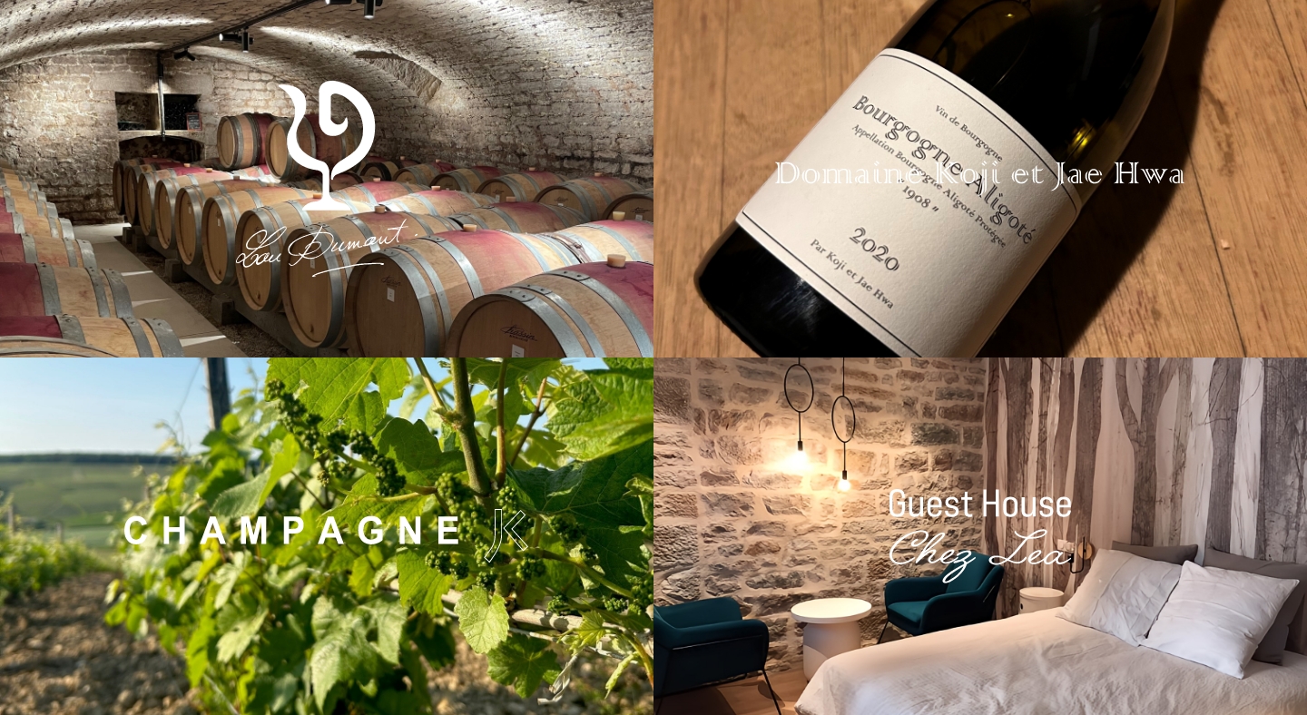 Maison Lou Dumont site.