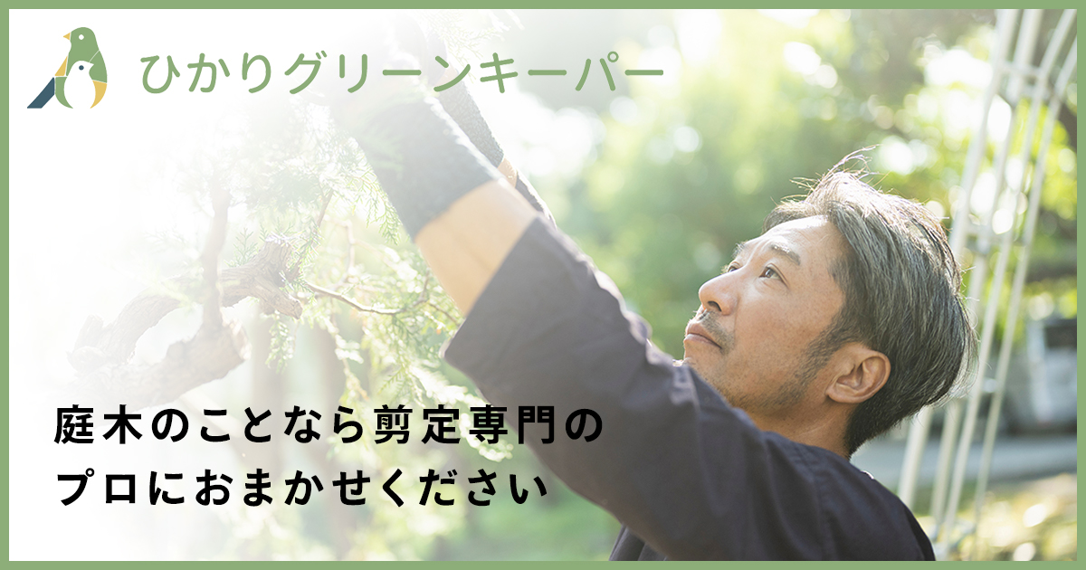 ひかりグリーンキーパーの外観