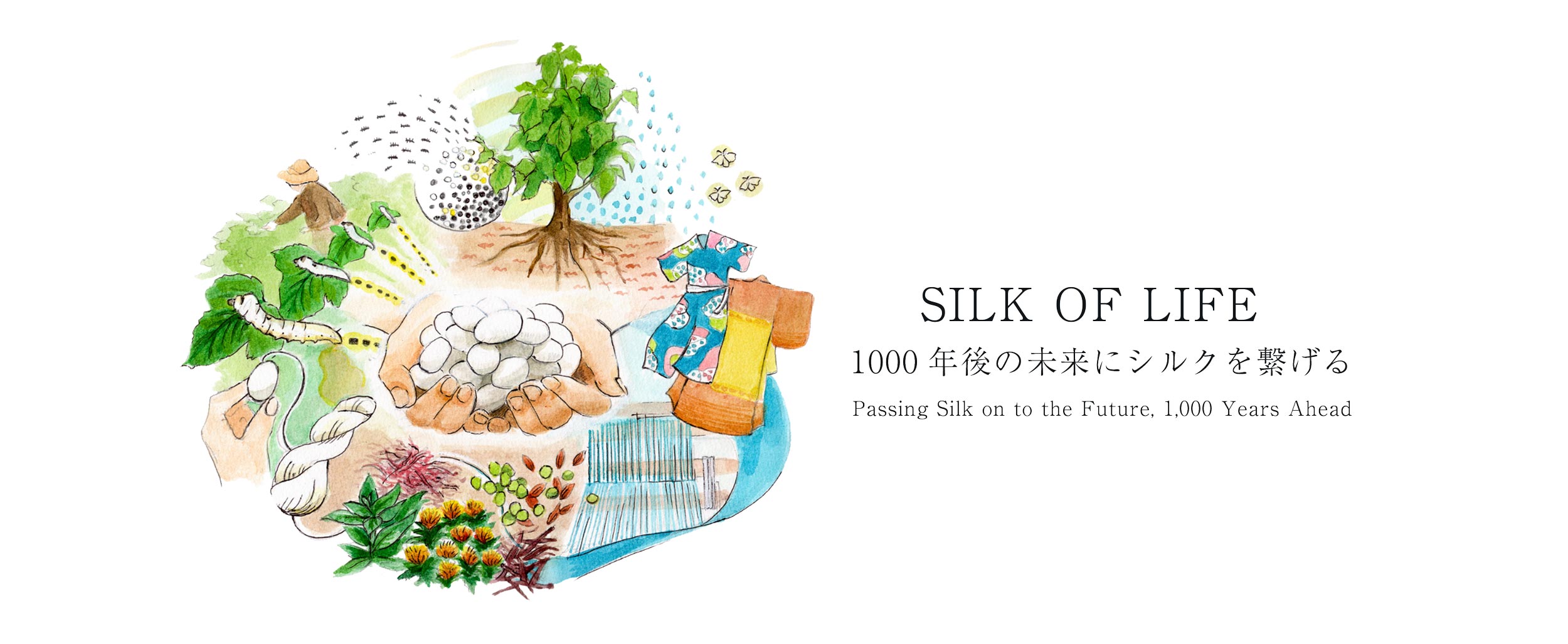 蚕飼育プロジェクト「小さな命とすごす春夏秋」 | SILK OF LIFE