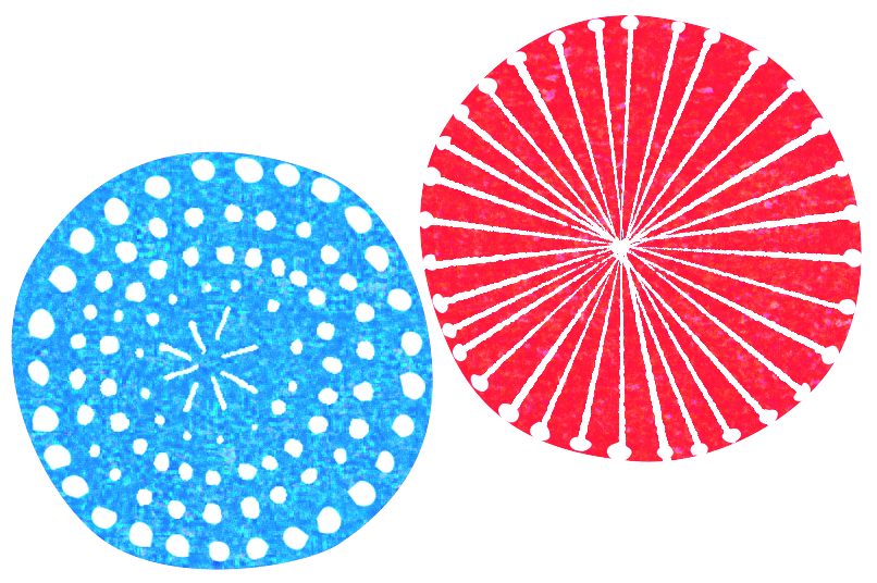 宮島を想う花火