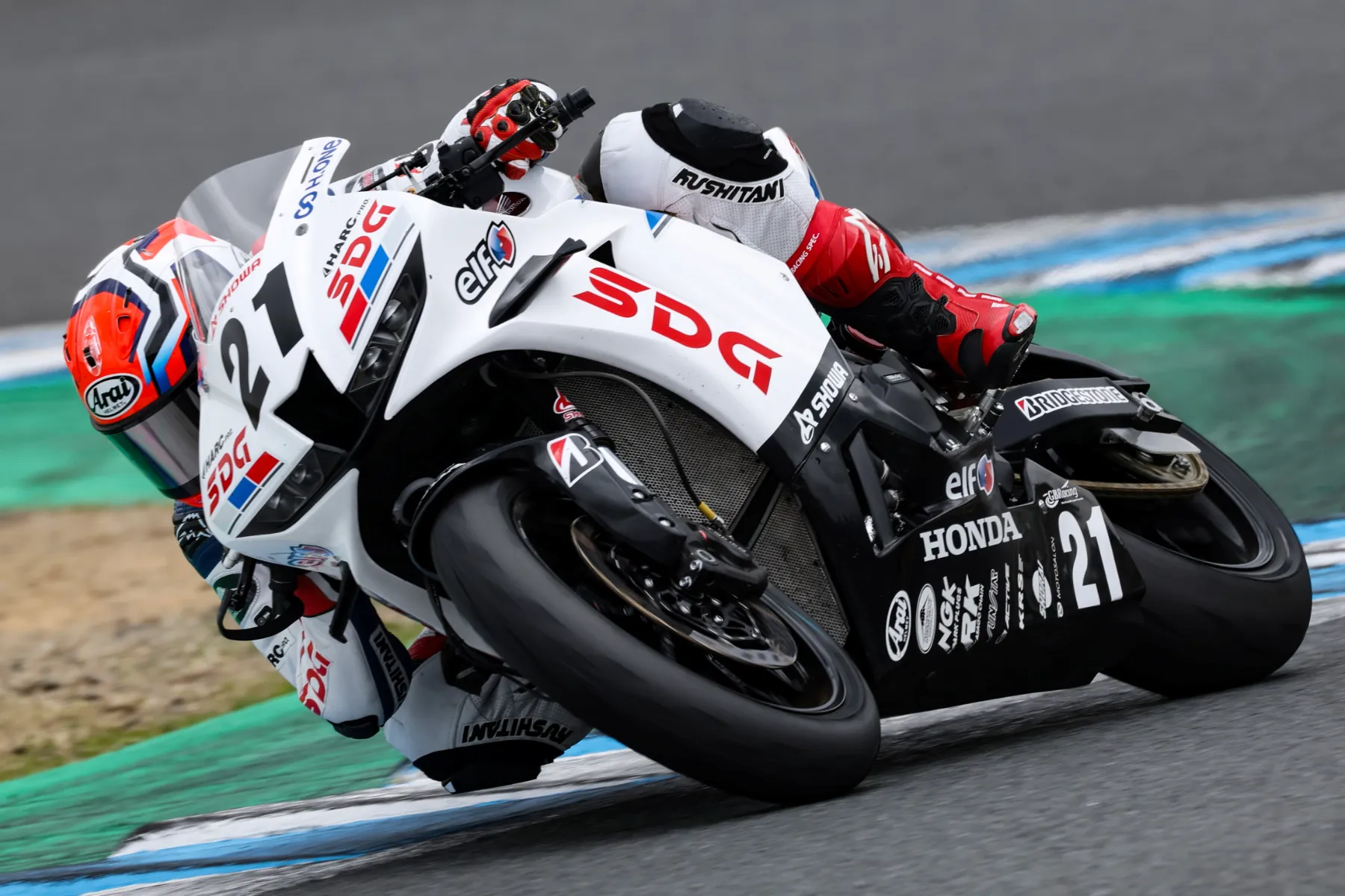 濵田 寛太｜2025 ライダー紹介｜JRR 全日本ロードレース オフィシャル