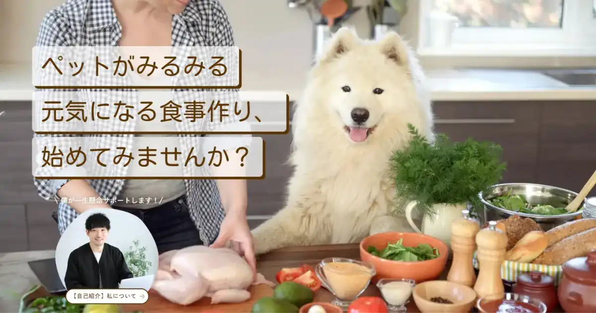 「ペットが元気になる」食事を学べるオンライン講座