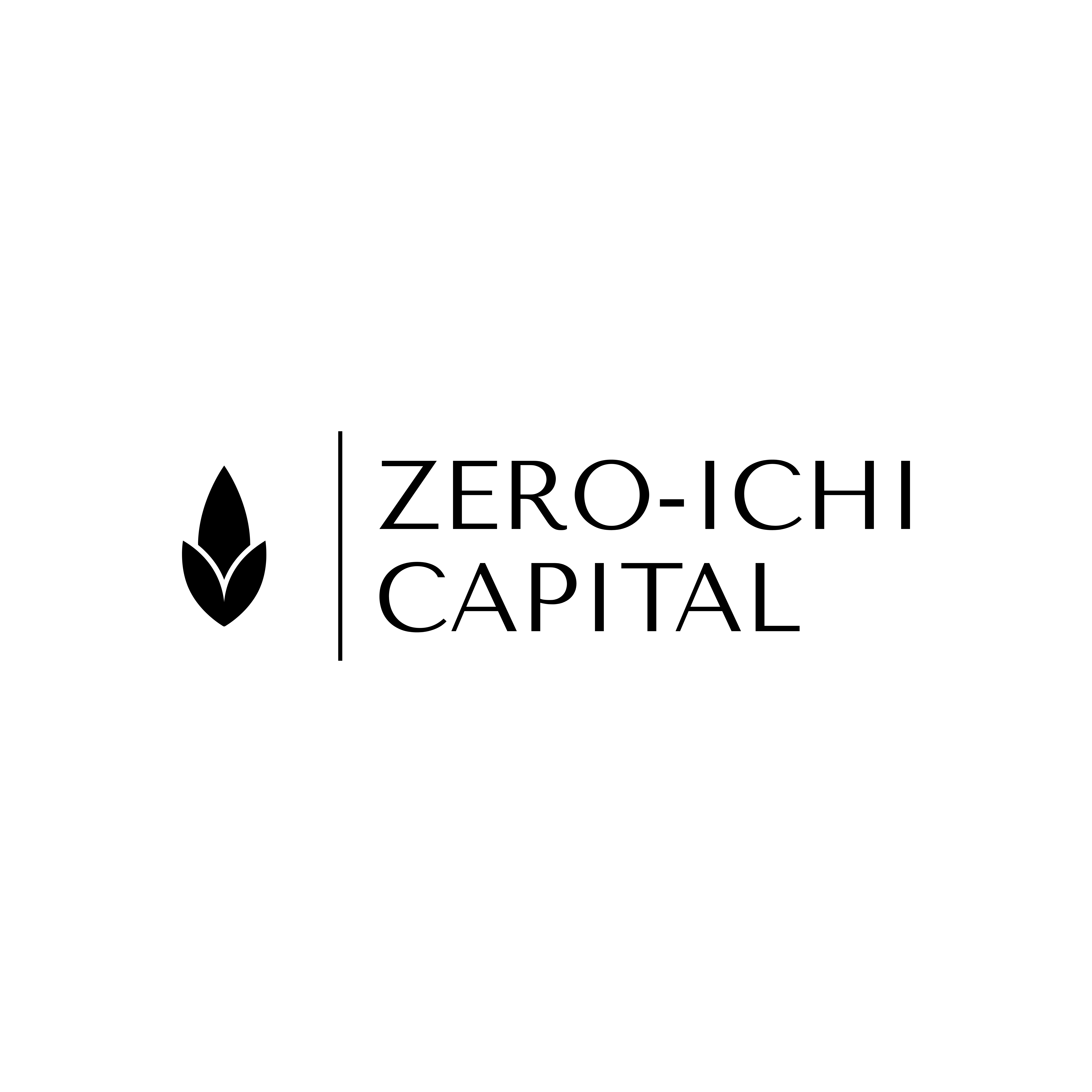 Zeroichi Capital photo