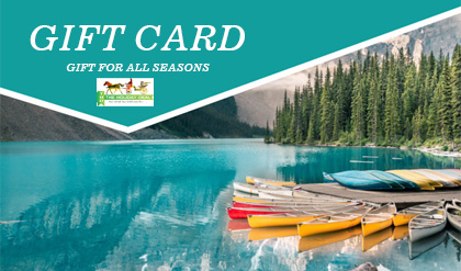 Your Holiday Deals eGift Card