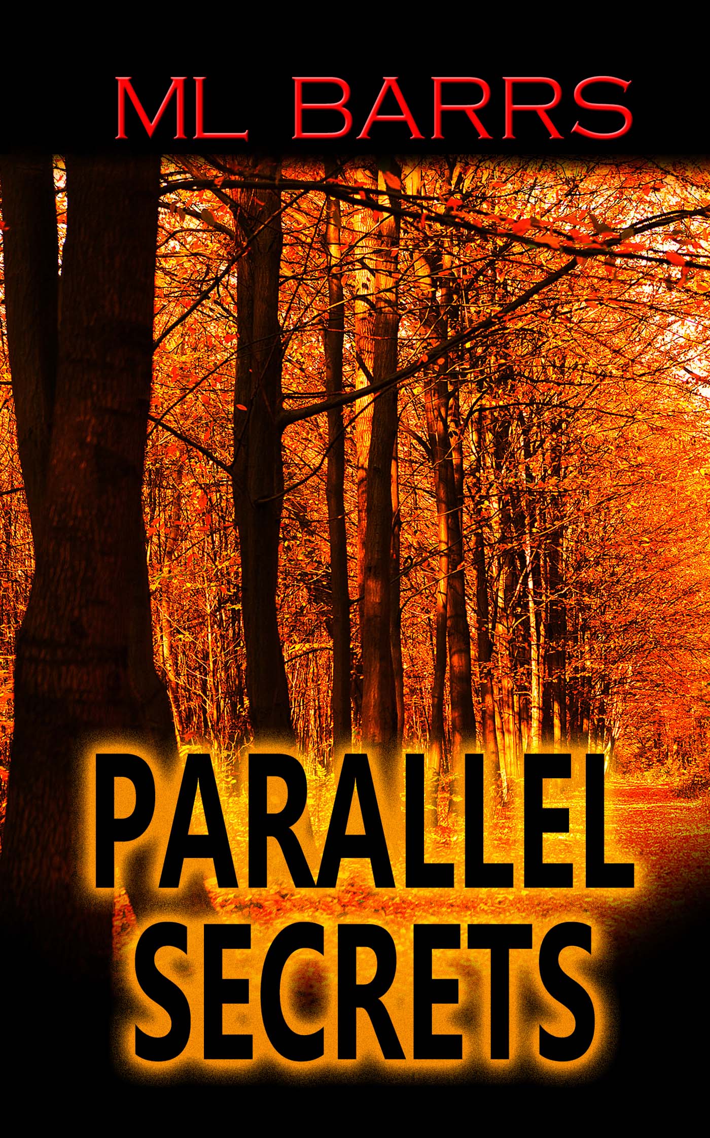 Parallel Secrets cover