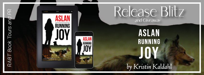 Aslan Running Joy banner