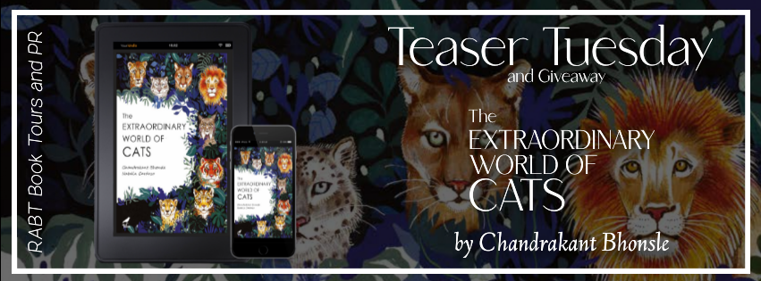 The Extraordinary World of Cats banner