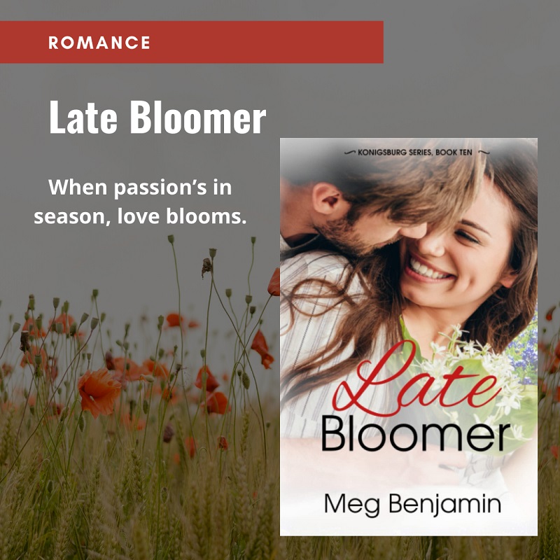 Late Bloomer paperback