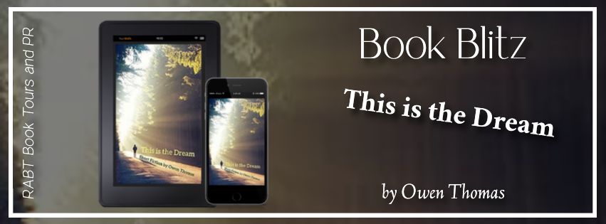 Book Blitz: This is the Dream by Owen Thomas #promo #shortstories #fiction #rabtbooktours @RABTBookTours @MKWebsiteandSEO